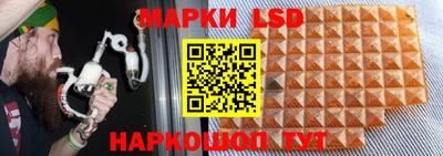крисы Нальчик