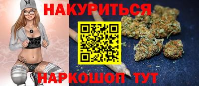 крисы Нальчик