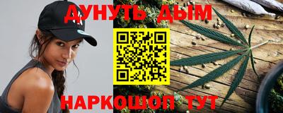 крисы Нальчик