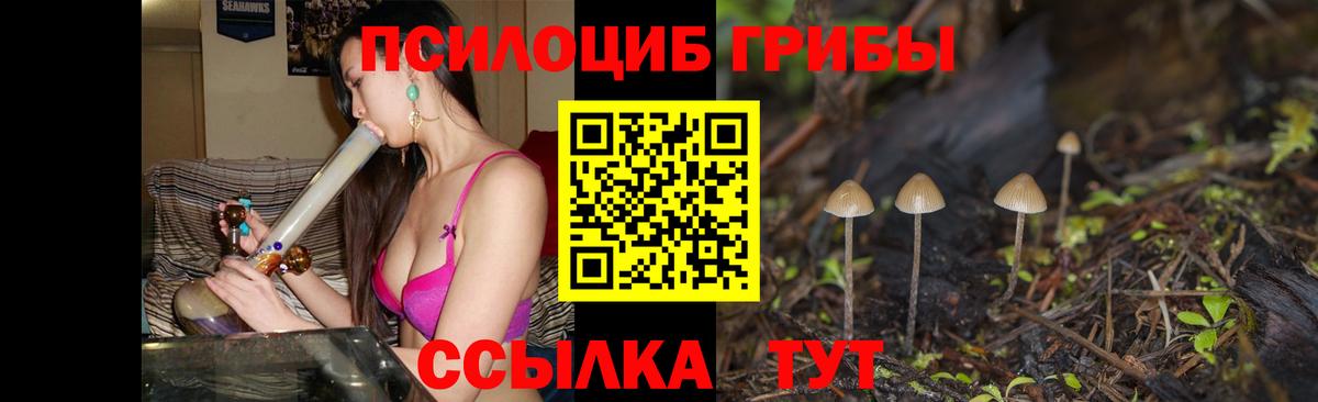 как найти закладки  Псилоцибиновые грибы Psilocybine cubensis  Вход с VPN  Сердобск 